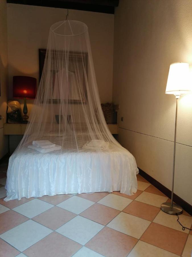 Sweet Autumn In Biennale Garden Flat