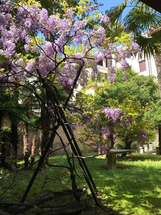 Sweet Autumn In Biennale Garden Flat *